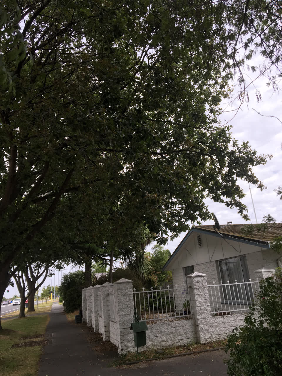 The photograph attached to this parks report