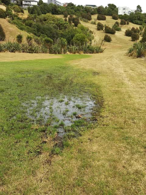 Flooding, a report photo