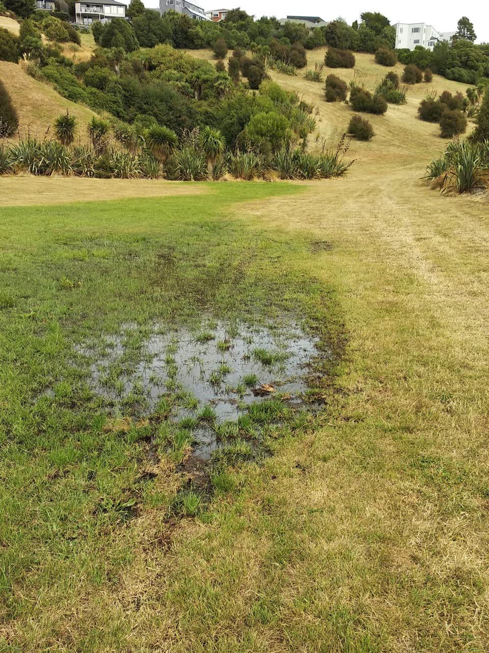The photograph attached to this flooding report