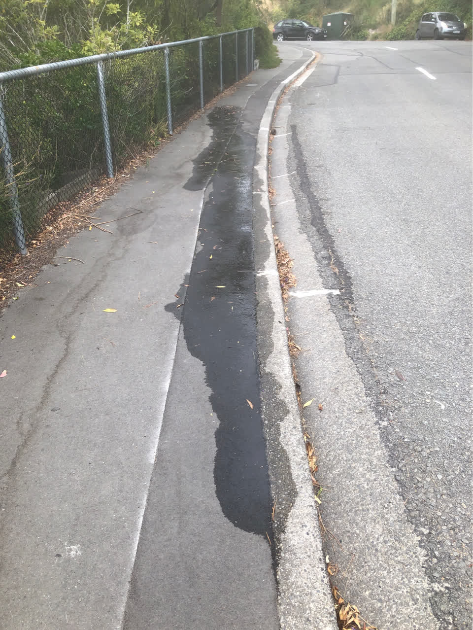 The photograph attached to this wastewater/stormwater report