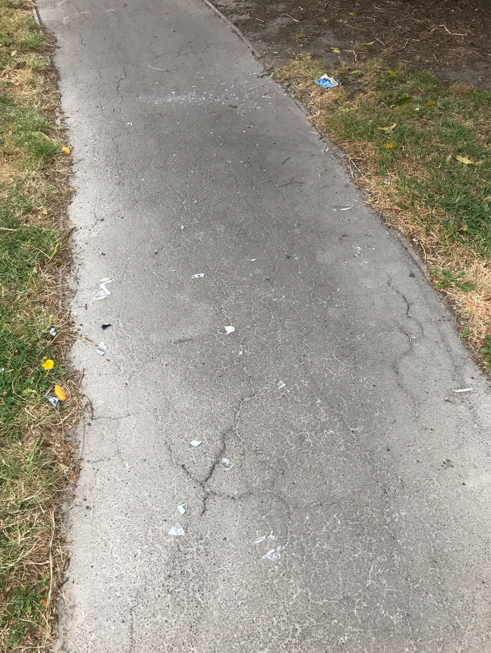 The photograph attached to this parks report