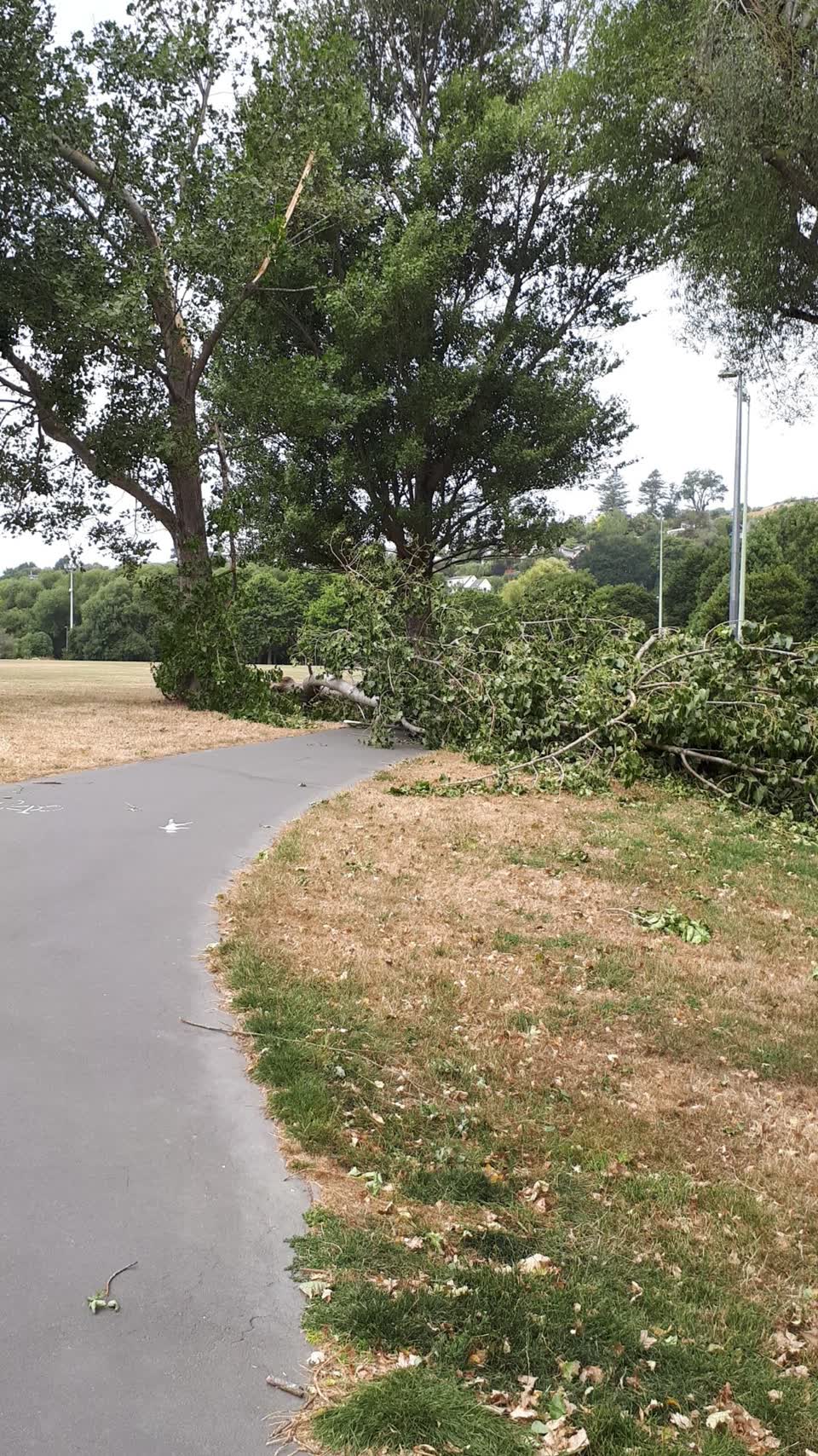 The photograph attached to this parks report