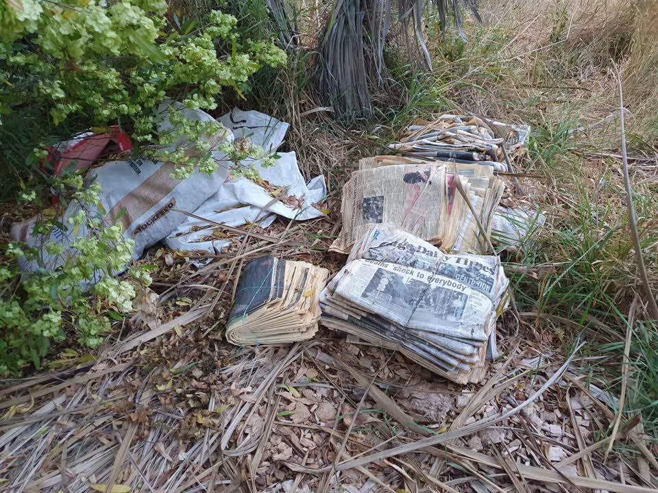 The photograph attached to this parks report