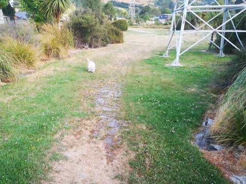 Water Supply — a report photo