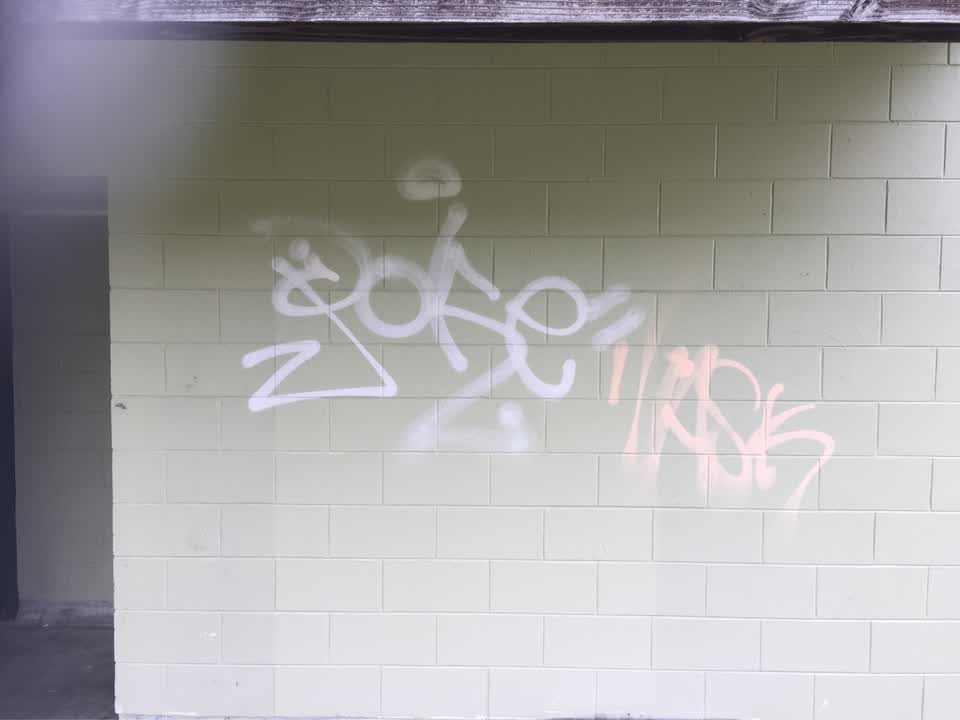 The photograph attached to this graffiti report