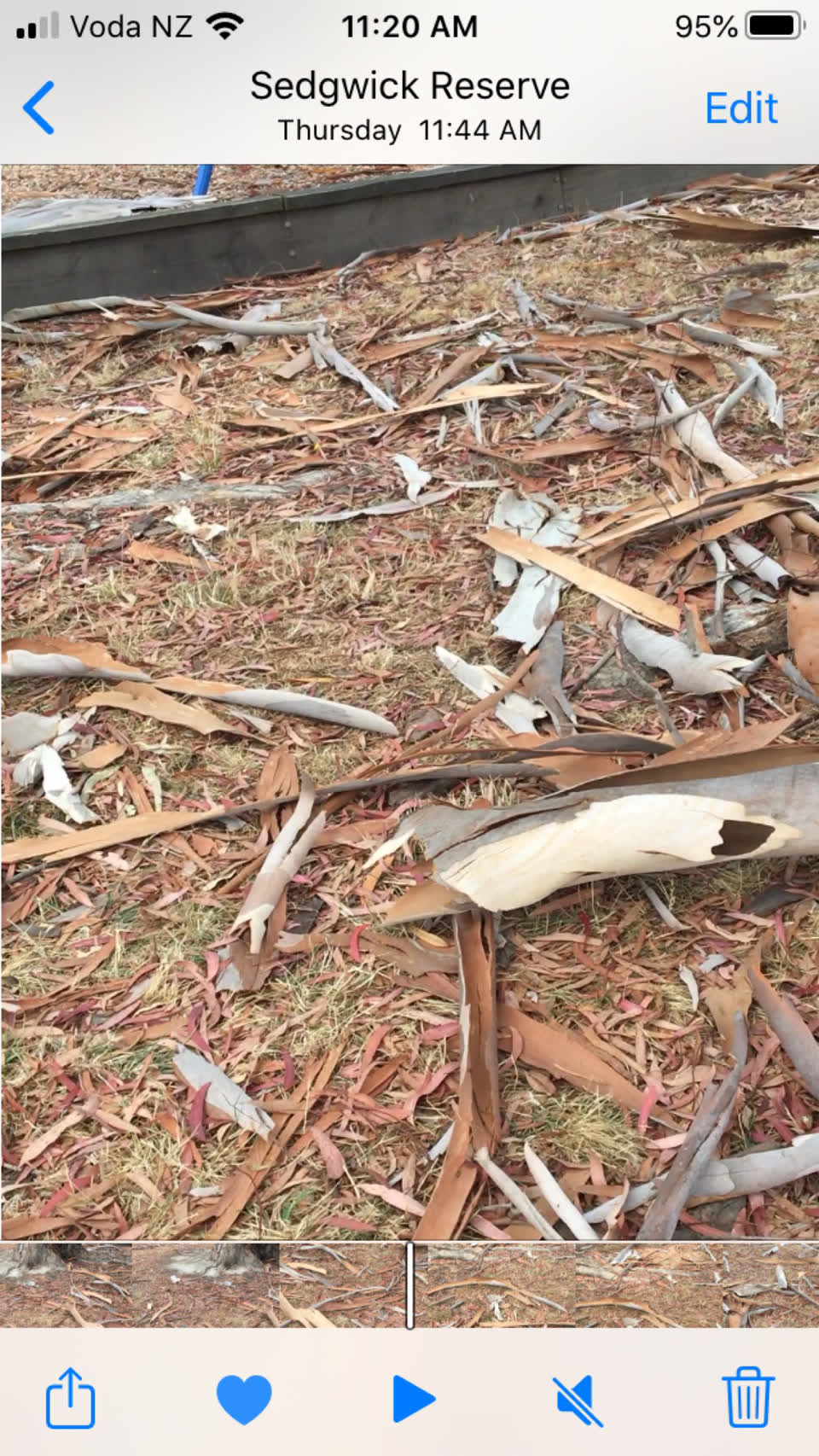 The photograph attached to this parks report