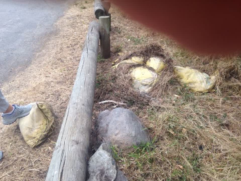The photograph attached to this rubbish/recycling report