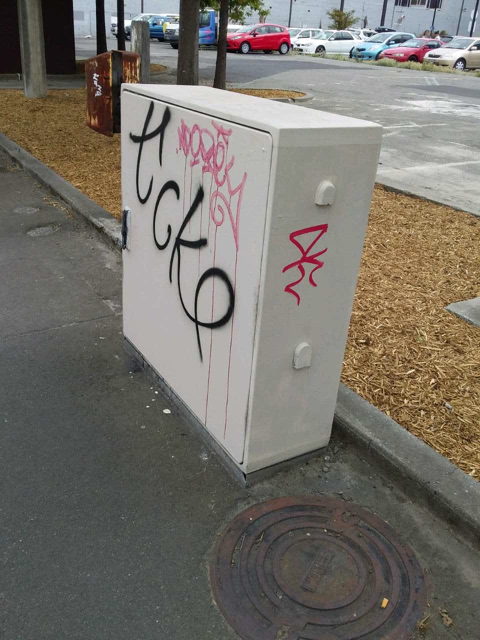 The photograph attached to this graffiti report