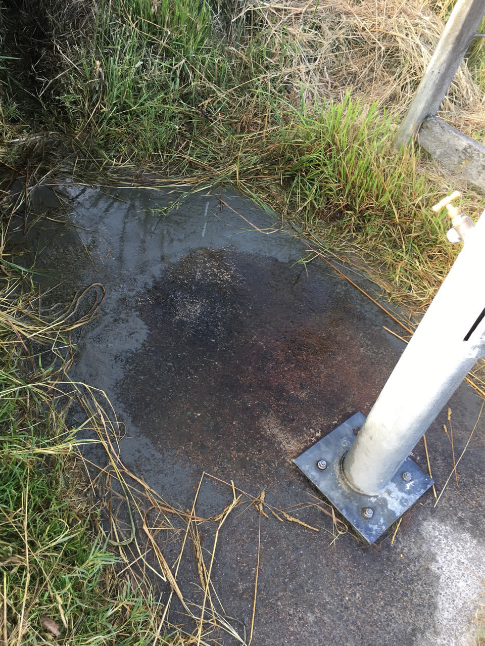The photograph attached to this parks report