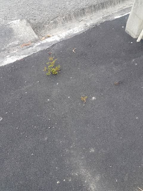 Roading/Streets, a report photo