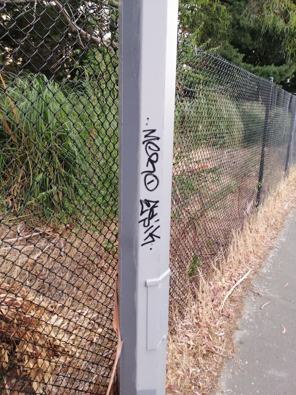 The photograph attached to this graffiti report