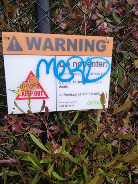 Graffiti — a report photo