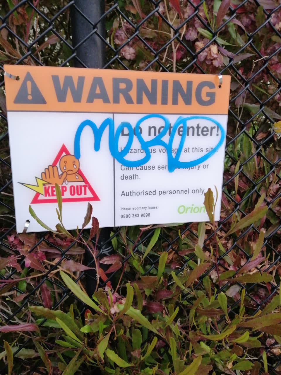 The photograph attached to this graffiti report