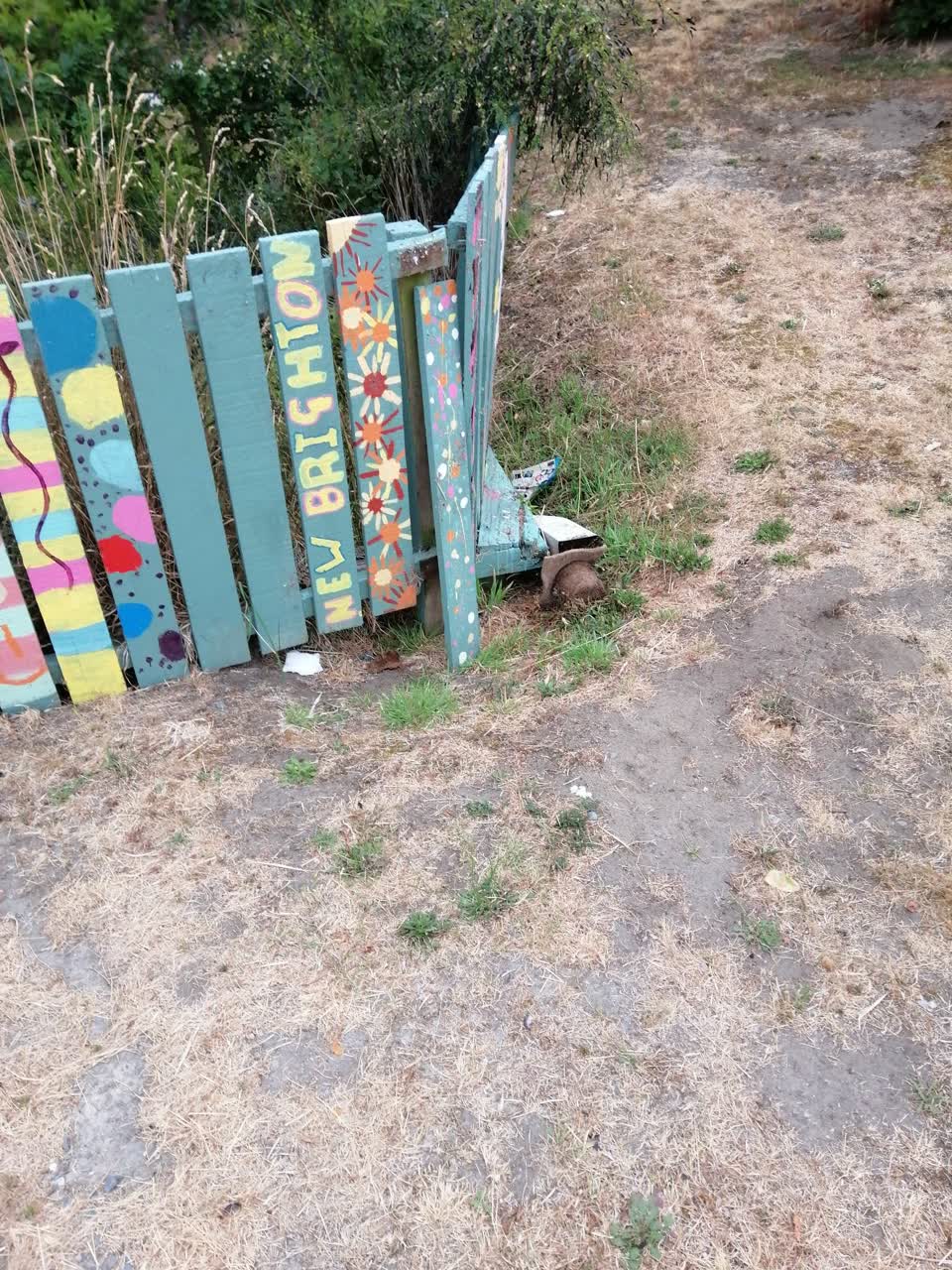 The photograph attached to this parks report