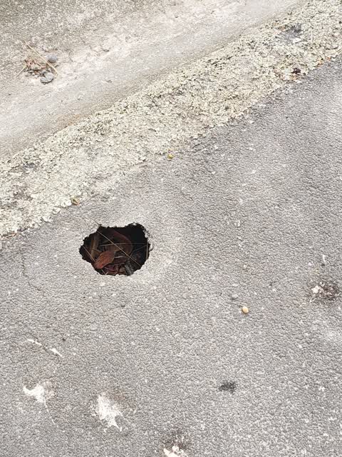Roading/Streets, a report photo