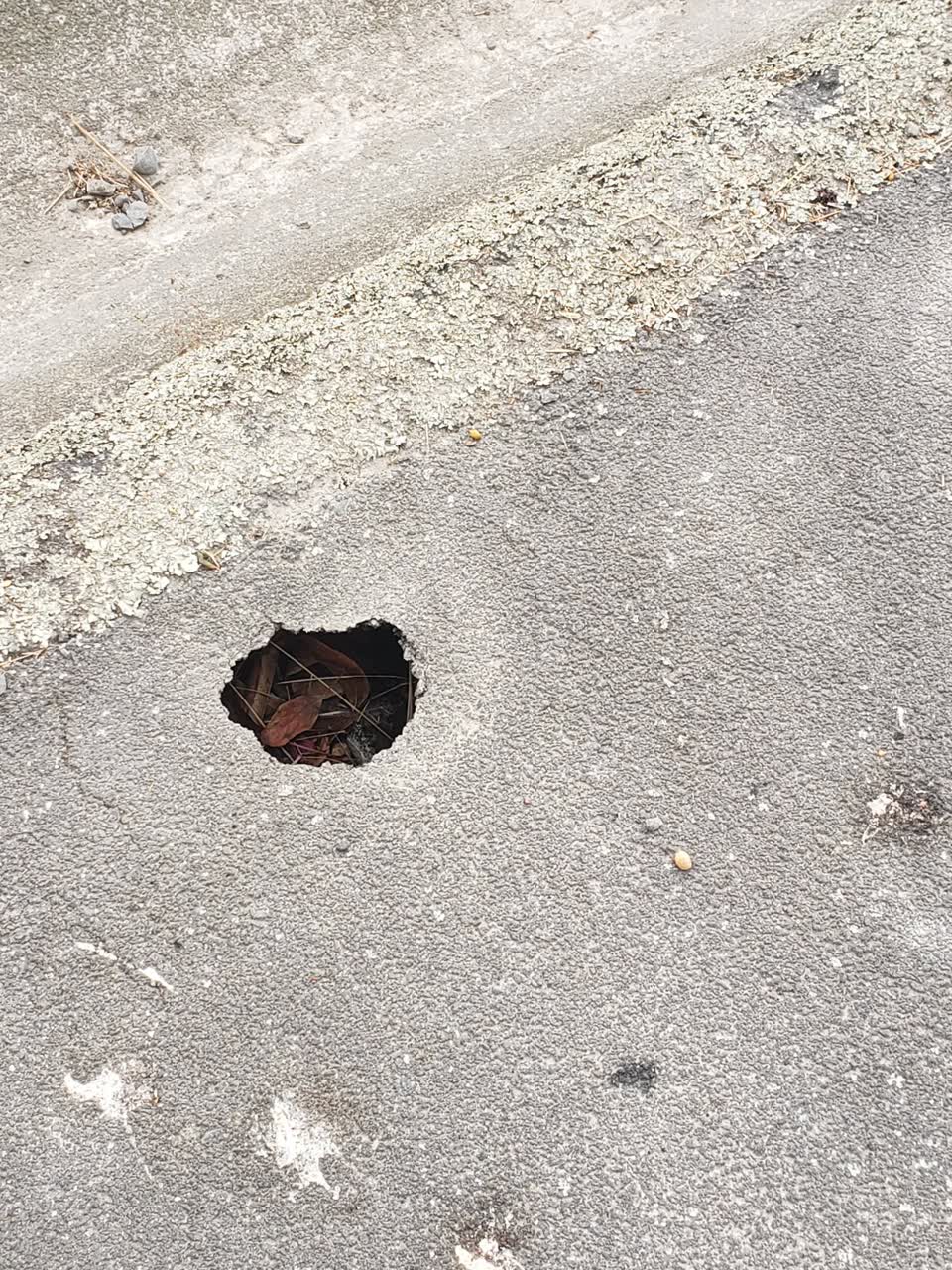 The photograph attached to this roading/streets report