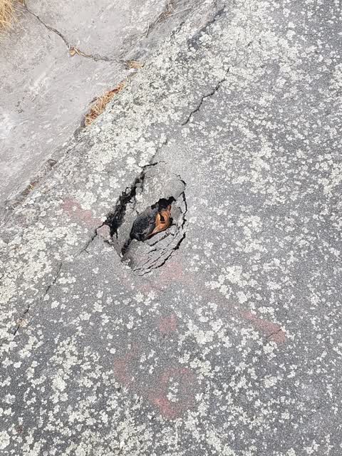 Roading/Streets, a report photo