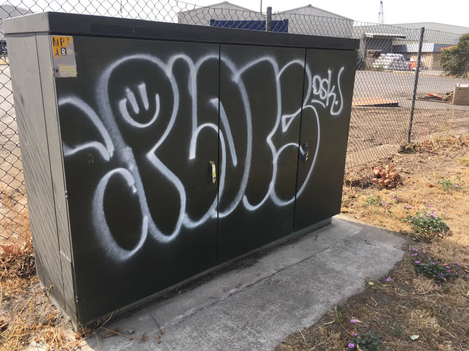 The photograph attached to this graffiti report