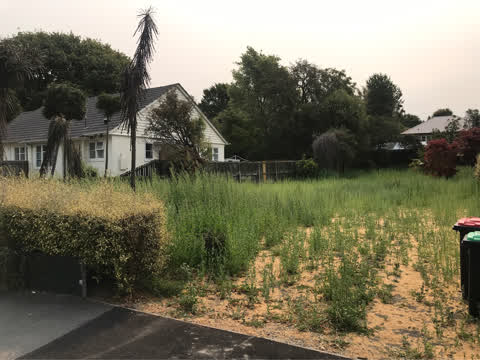 Parks, a report photo