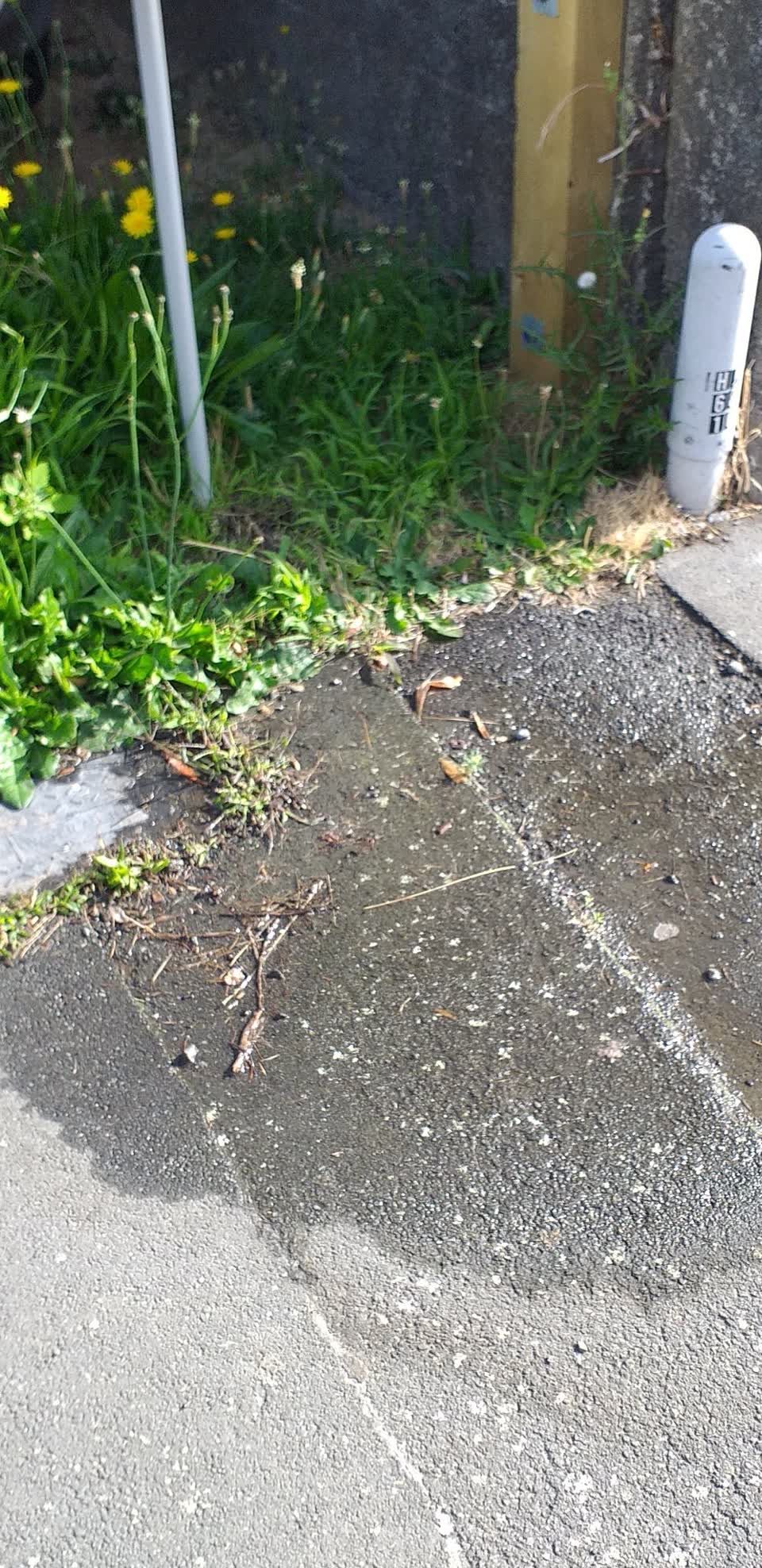 The photograph attached to this wastewater/stormwater report