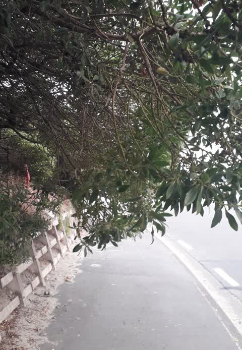 Roading/Streets — a report photo