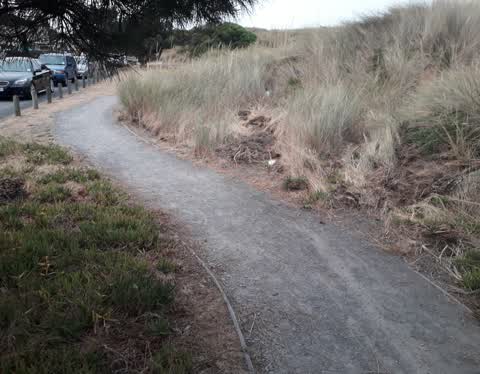 Roading/Streets, a report photo
