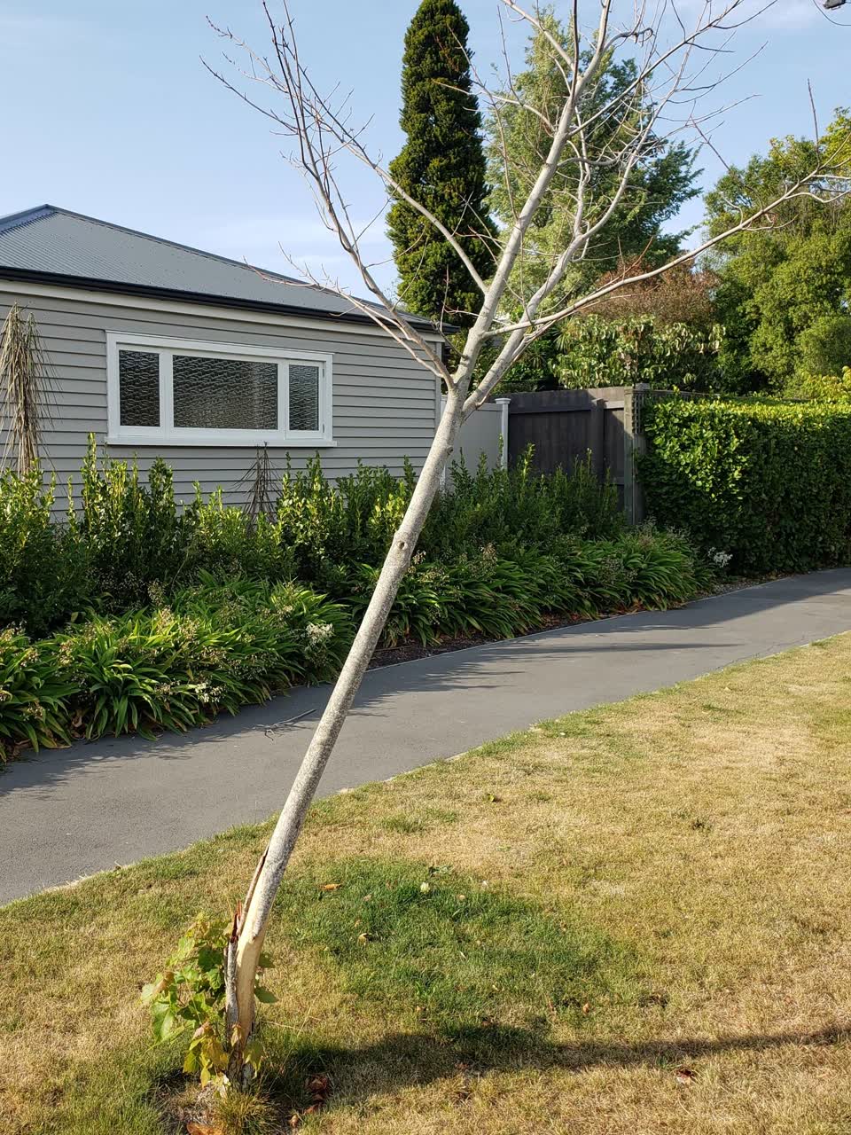 The photograph attached to this parks report