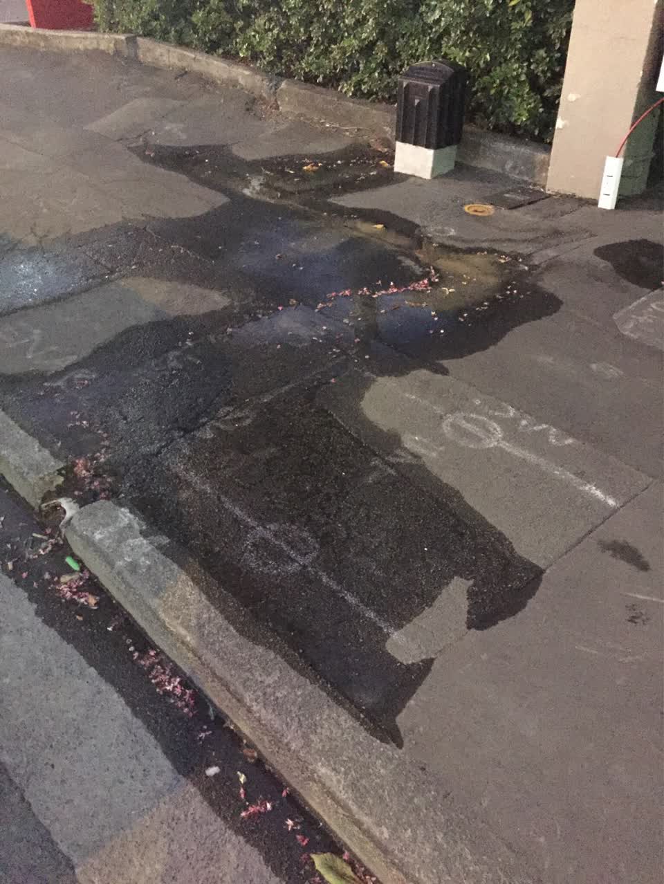 The photograph attached to this water supply report