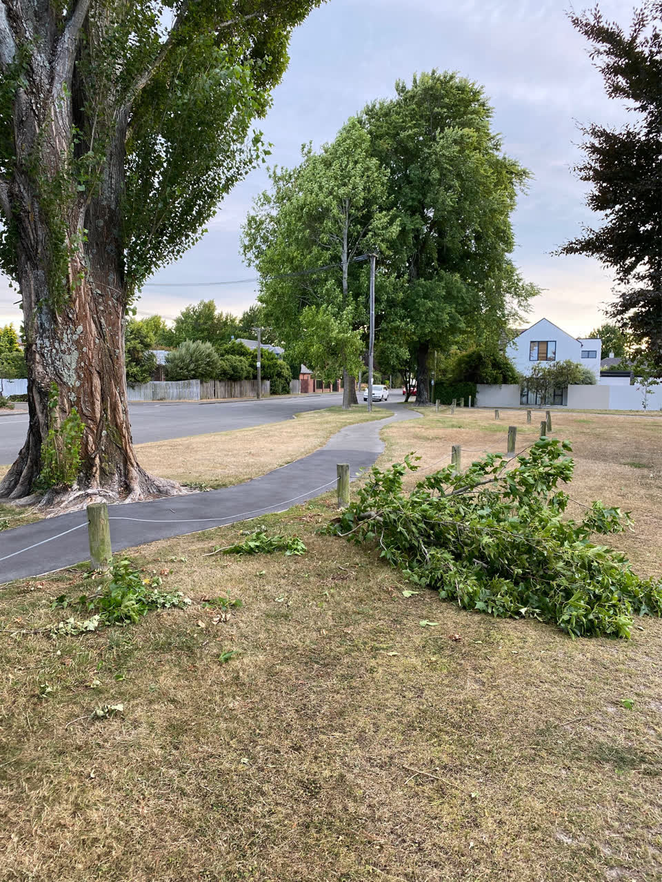The photograph attached to this parks report