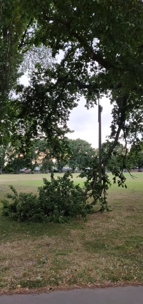 Parks, a report photo