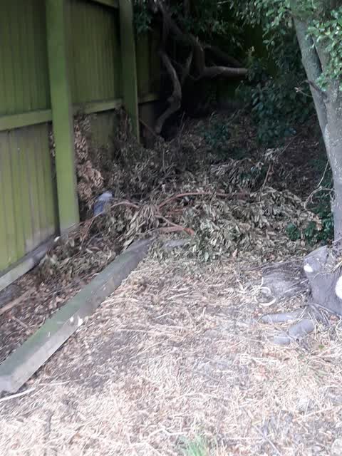 Parks, a report photo