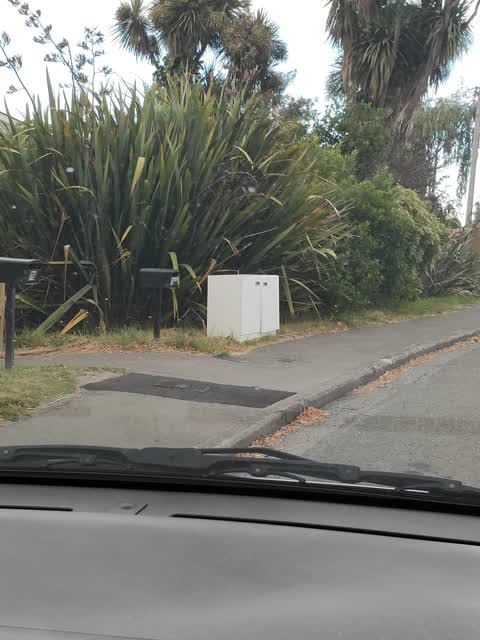 Rubbish/Recycling, a report photo