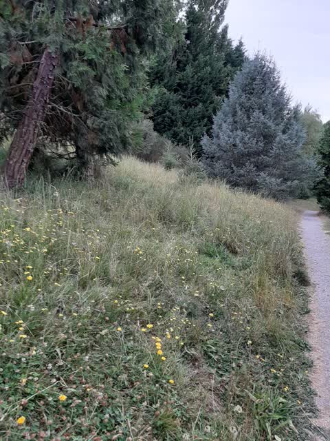 Parks, a report photo