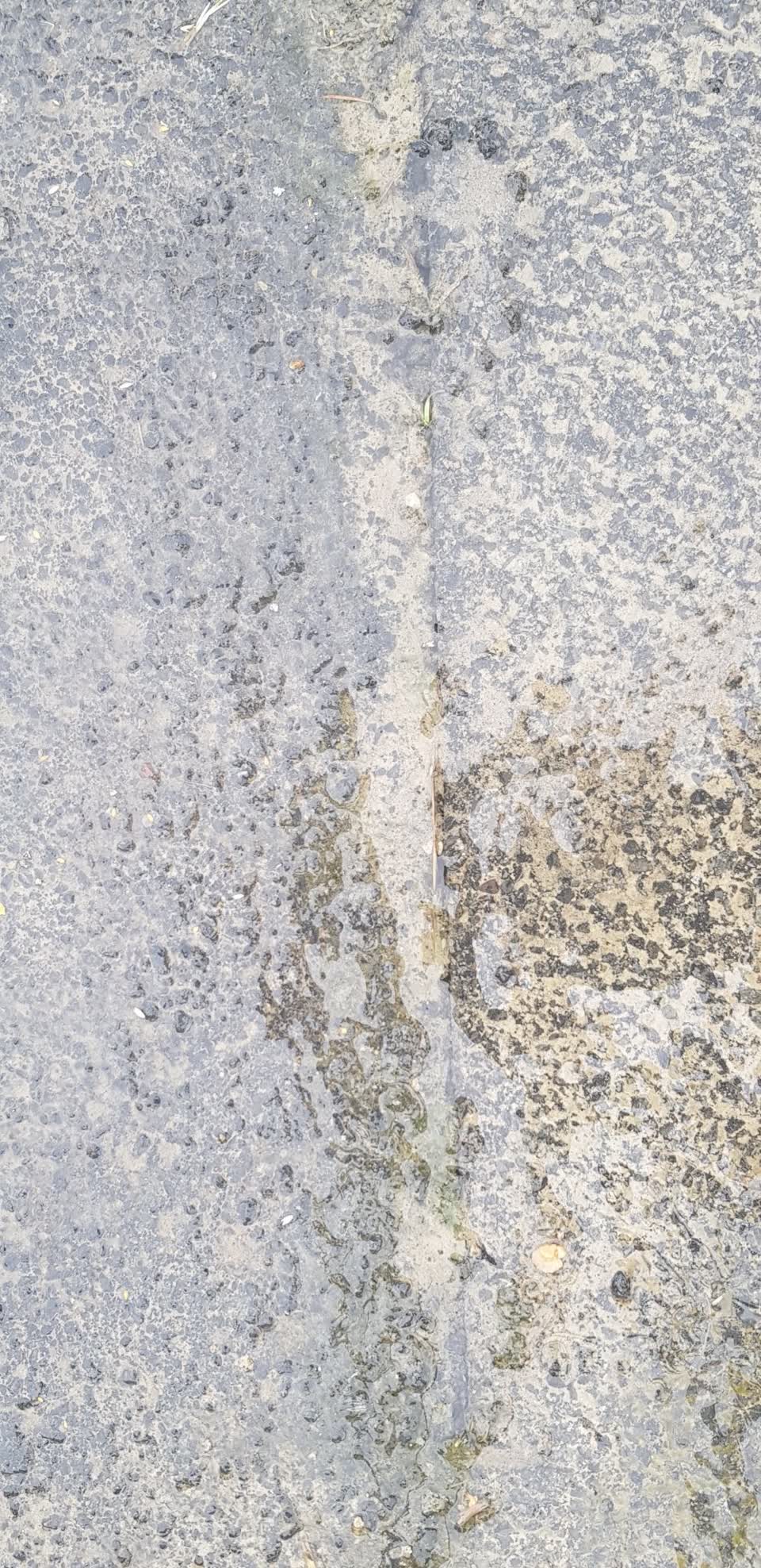 The photograph attached to this water supply report