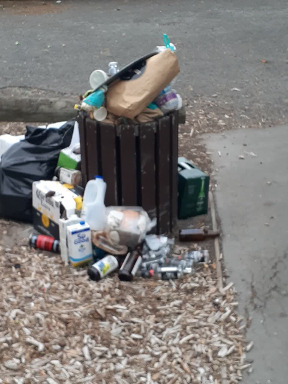 The photograph attached to this parks report