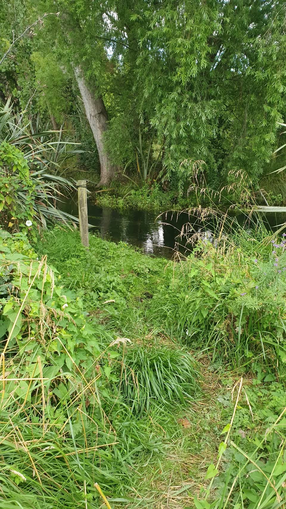 The photograph attached to this parks report