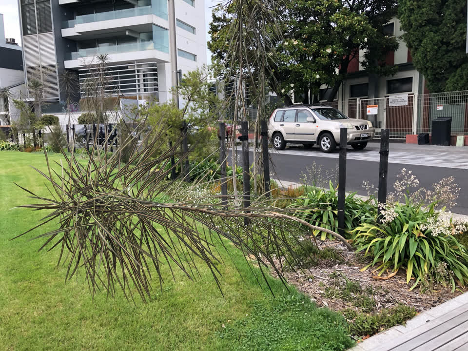 The photograph attached to this parks report