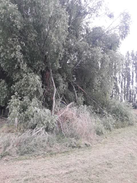 Parks, a report photo