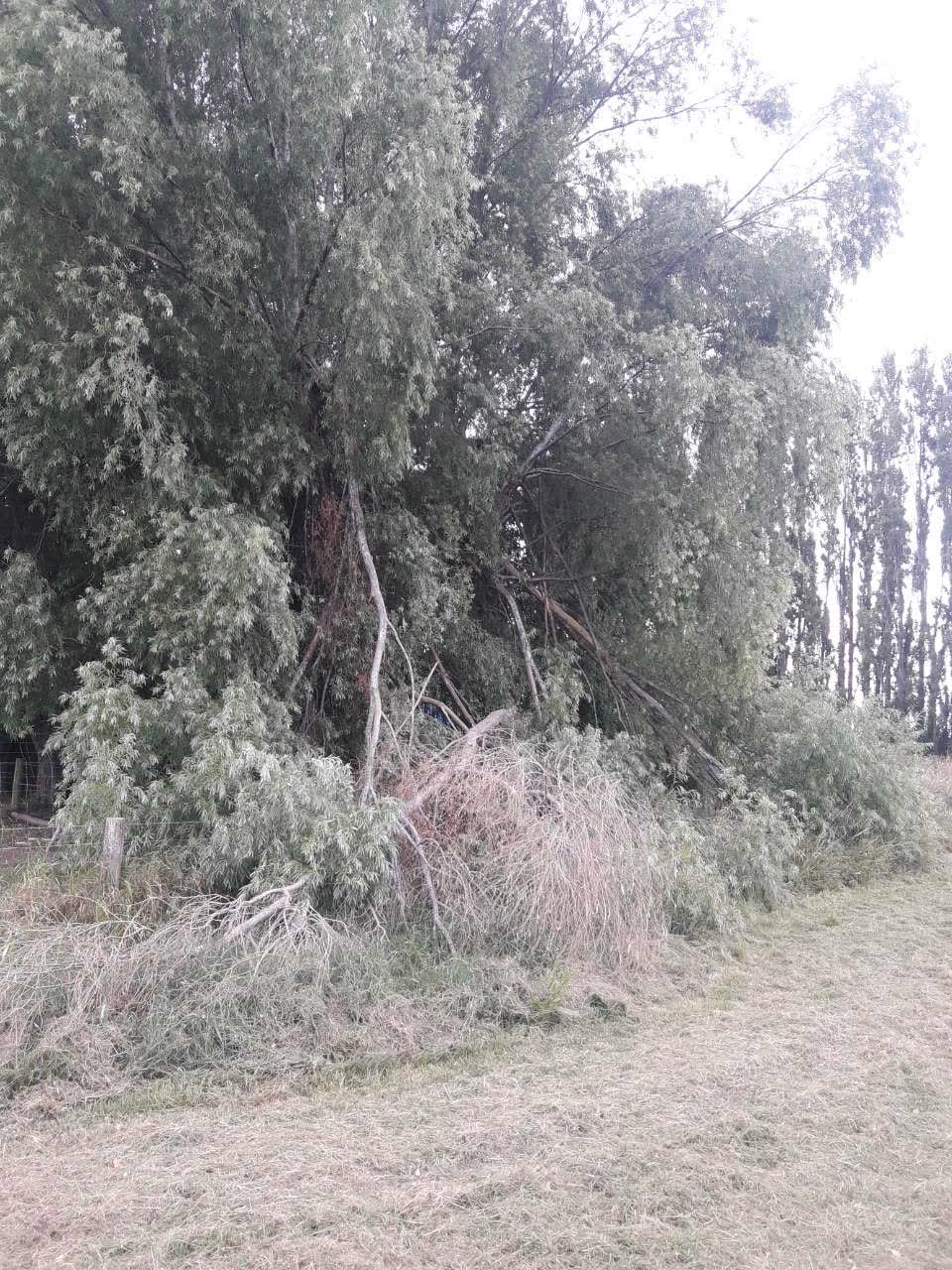 The photograph attached to this parks report