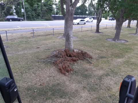 Parks, a report photo