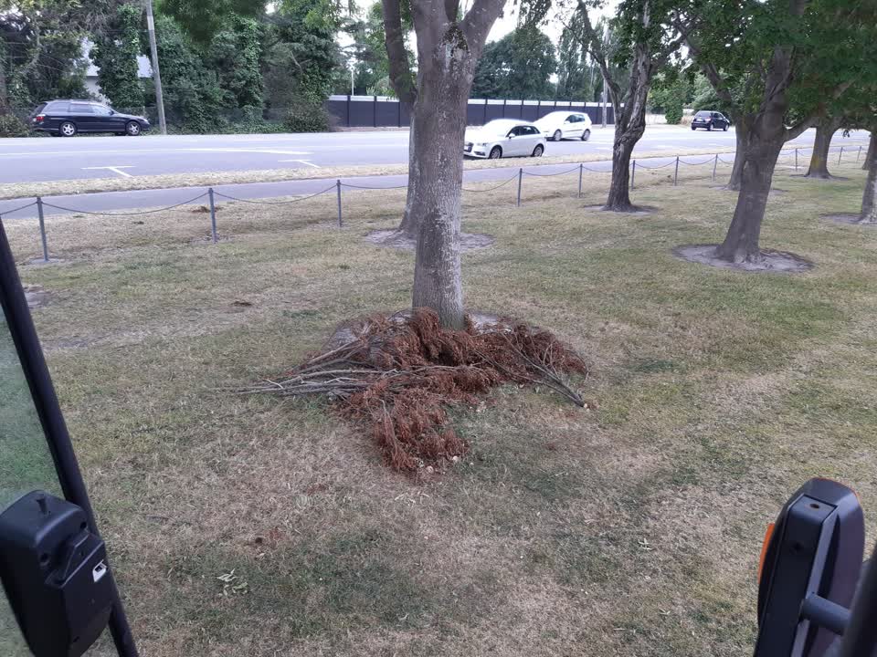 The photograph attached to this parks report