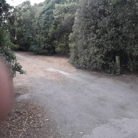 Parks, a report photo