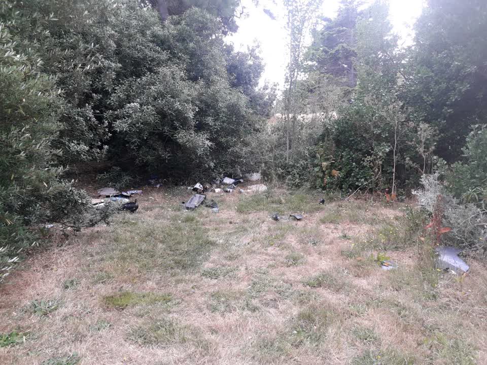 The photograph attached to this rubbish/recycling report