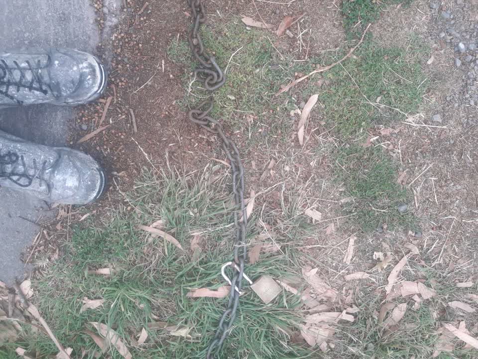 The photograph attached to this parks report
