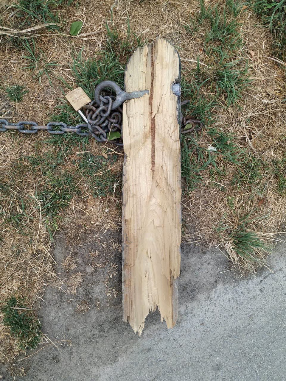 The photograph attached to this parks report