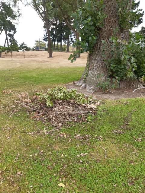 Parks, a report photo