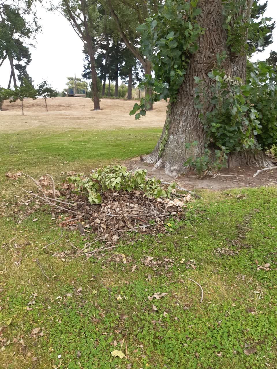 The photograph attached to this parks report