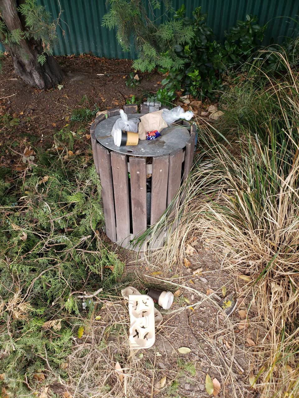The photograph attached to this parks report