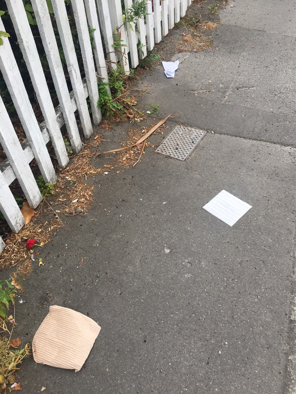 The photograph attached to this rubbish/recycling report