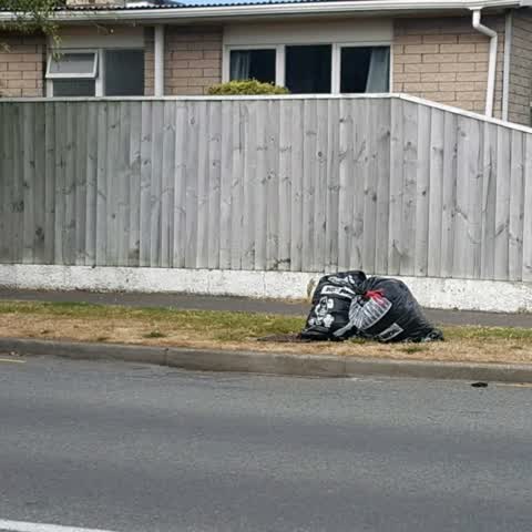 Rubbish/Recycling, a report photo